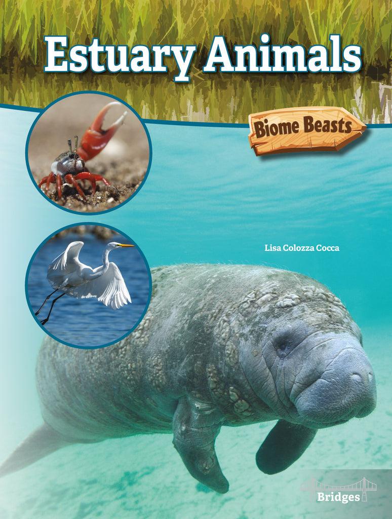 2020 - Estuary Animals (eBook)
