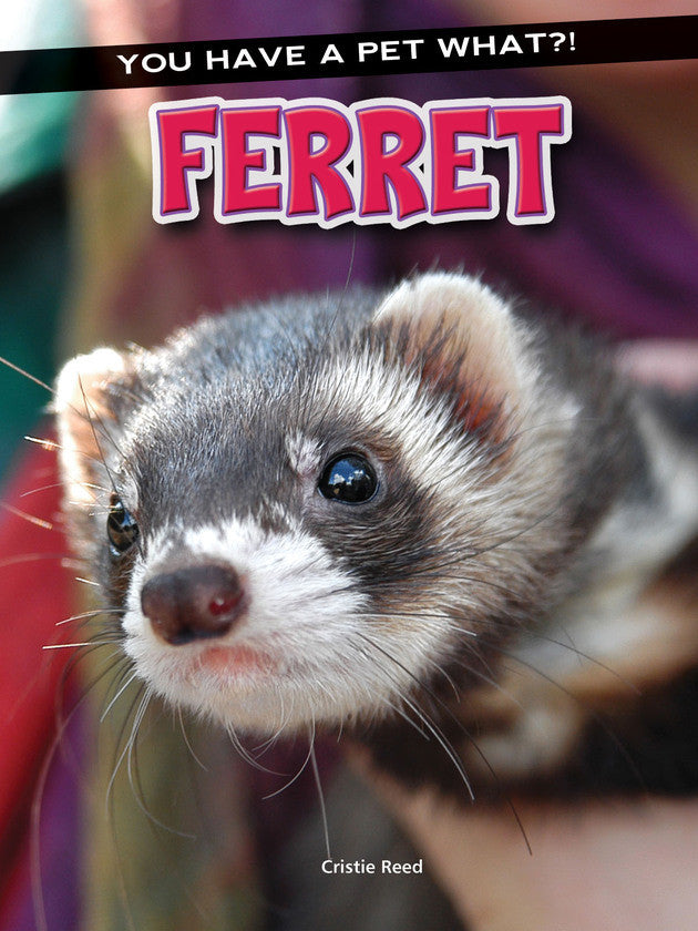 2016 - Ferret (Paperback)