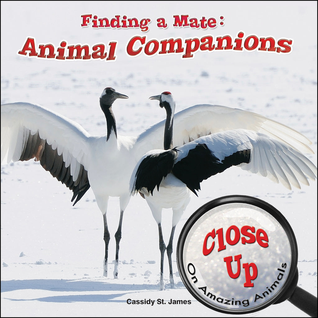 2015 - Finding a Mate (eBook)