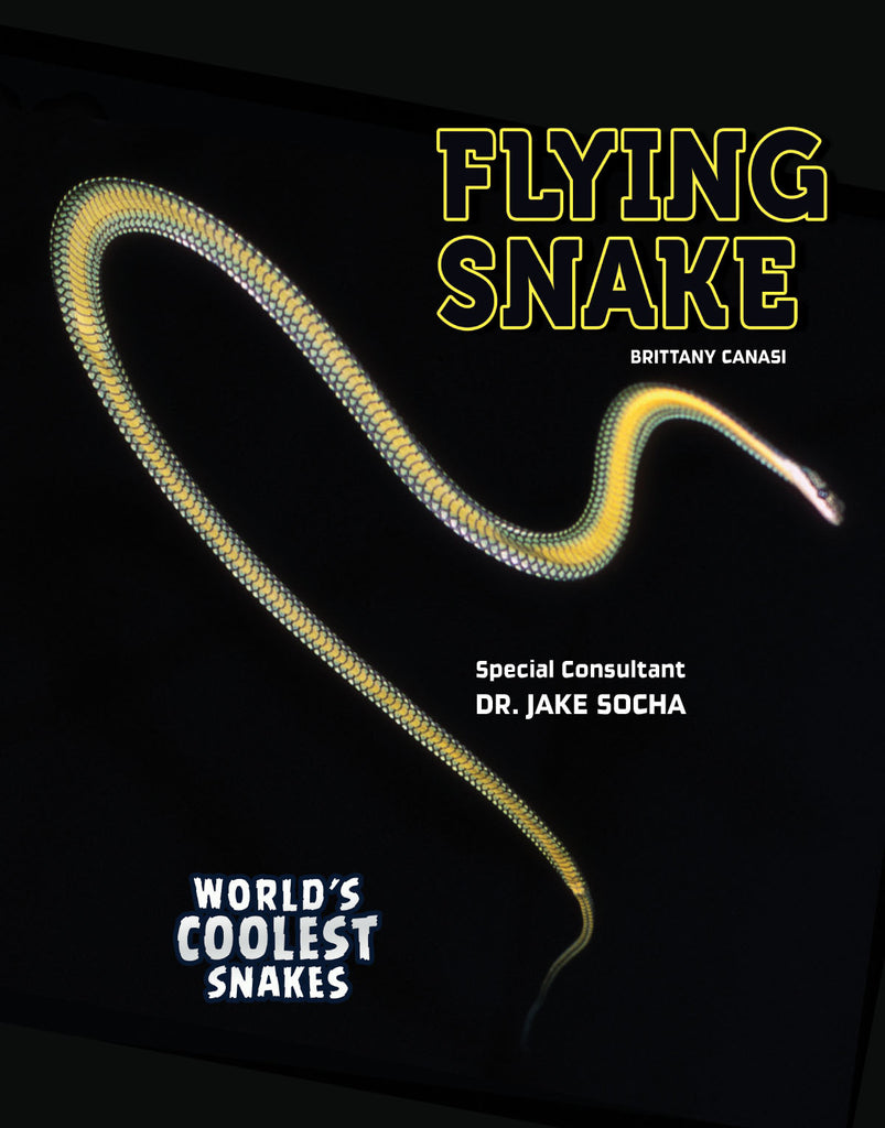2019 - Flying Snake (eBook)