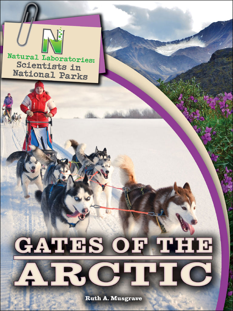 2019 - Gates of the Arctic (eBook)
