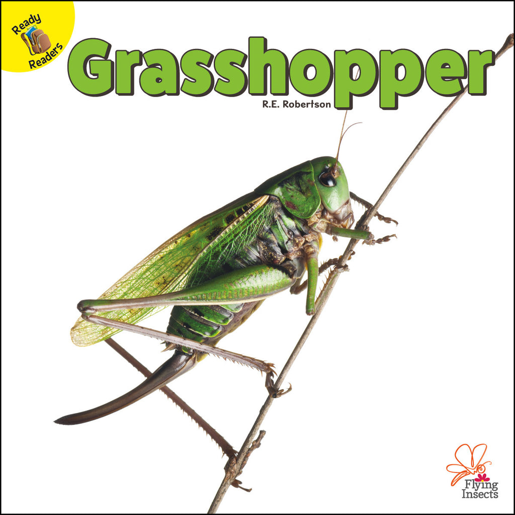 2020 - Grasshopper (Hardback)