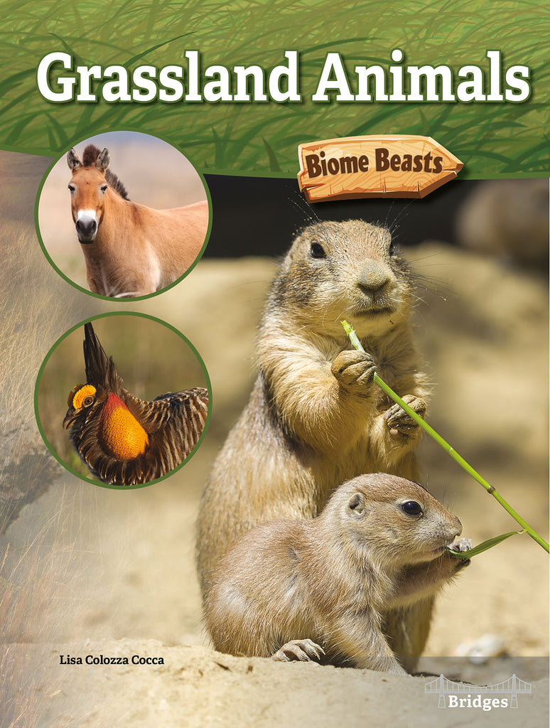 2020 - Grassland Animals (Paperback)