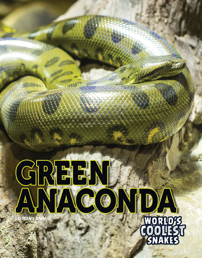 2019 - Green Anaconda (eBook)