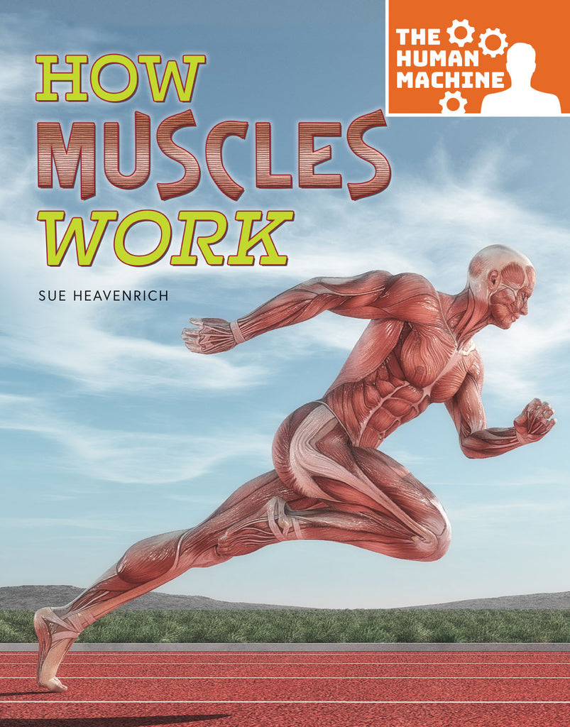 2019 - How Muscles Work (eBook)
