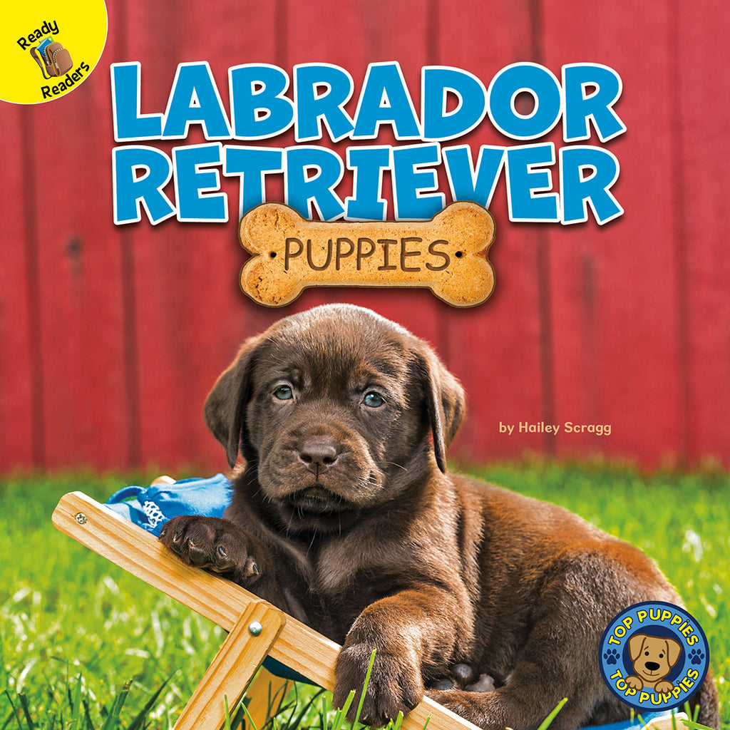2020 - Labrador Retriever Puppies (eBook)