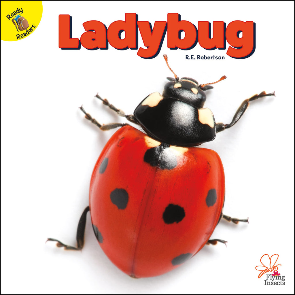 2020 - Ladybug (Hardback)