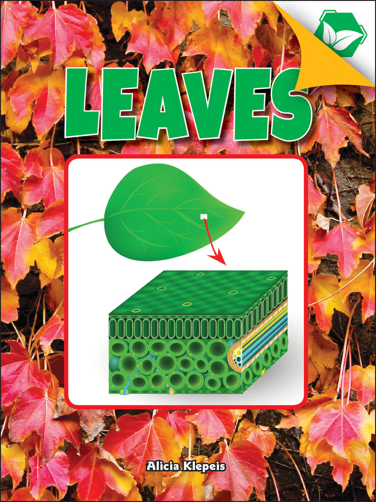 2018 - Leaves (eBook)