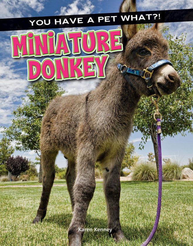 2017 - Miniature Donkey (eBook)