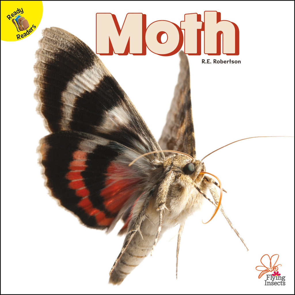 2020 - Moth (Hardback)