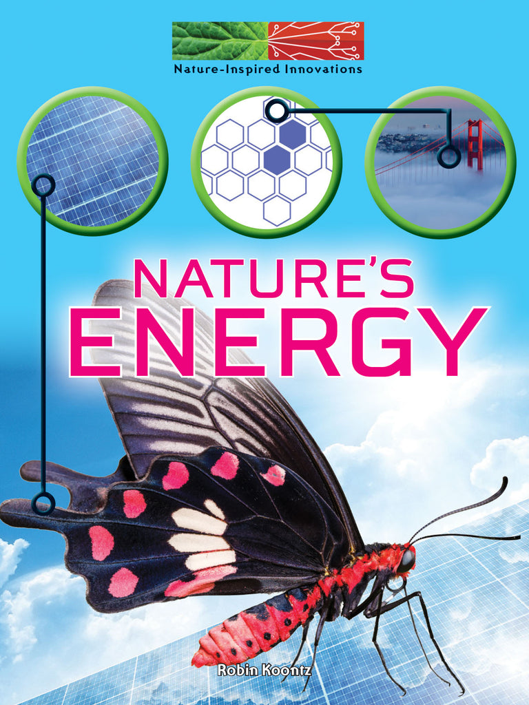 2019 - Nature's Energy (Paperback)