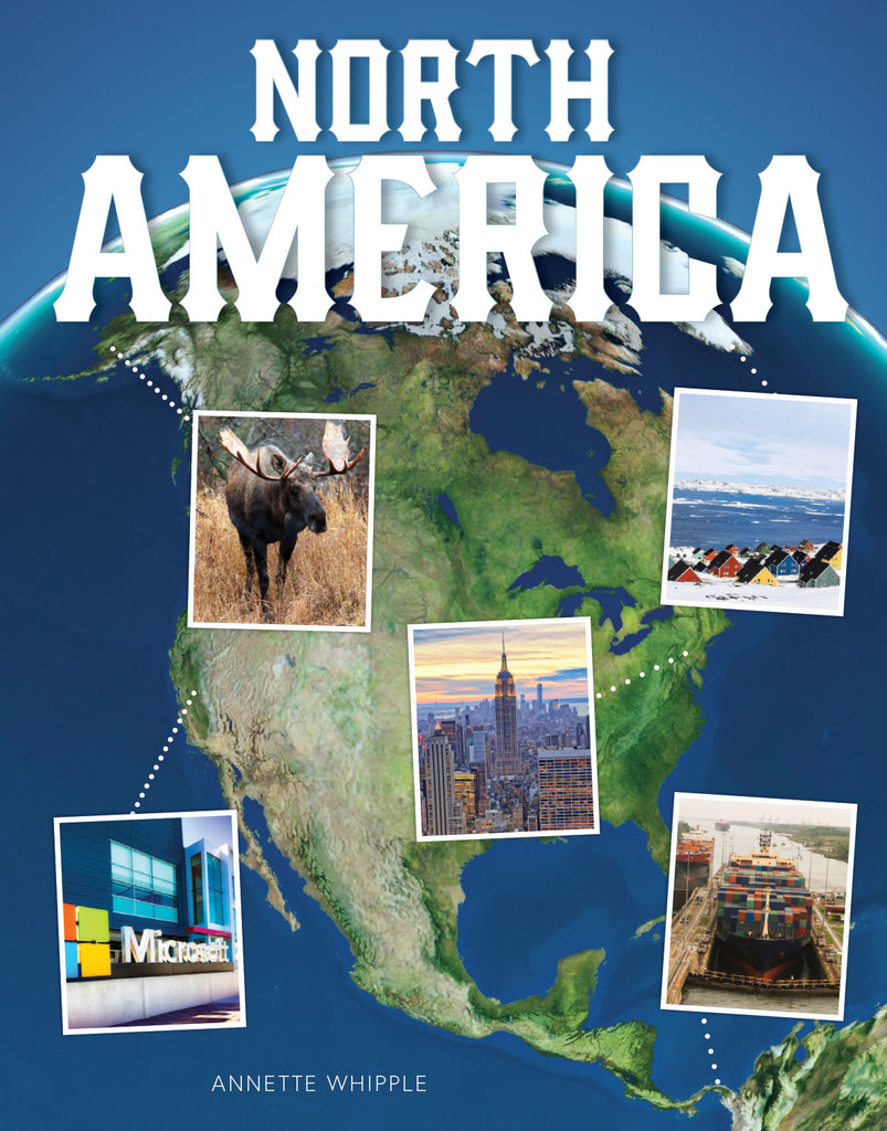 2019 - North America (Paperback)