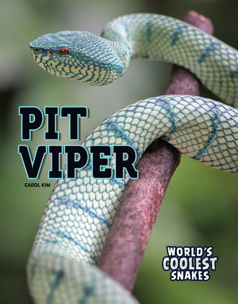 2019 - Pit Viper (eBook)