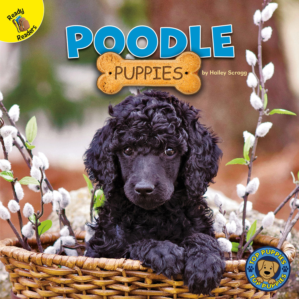 2020 - Poodle Puppies (eBook)