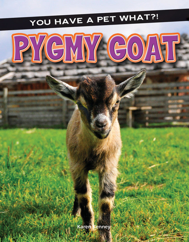 2017 - Pygmy Goat (eBook)
