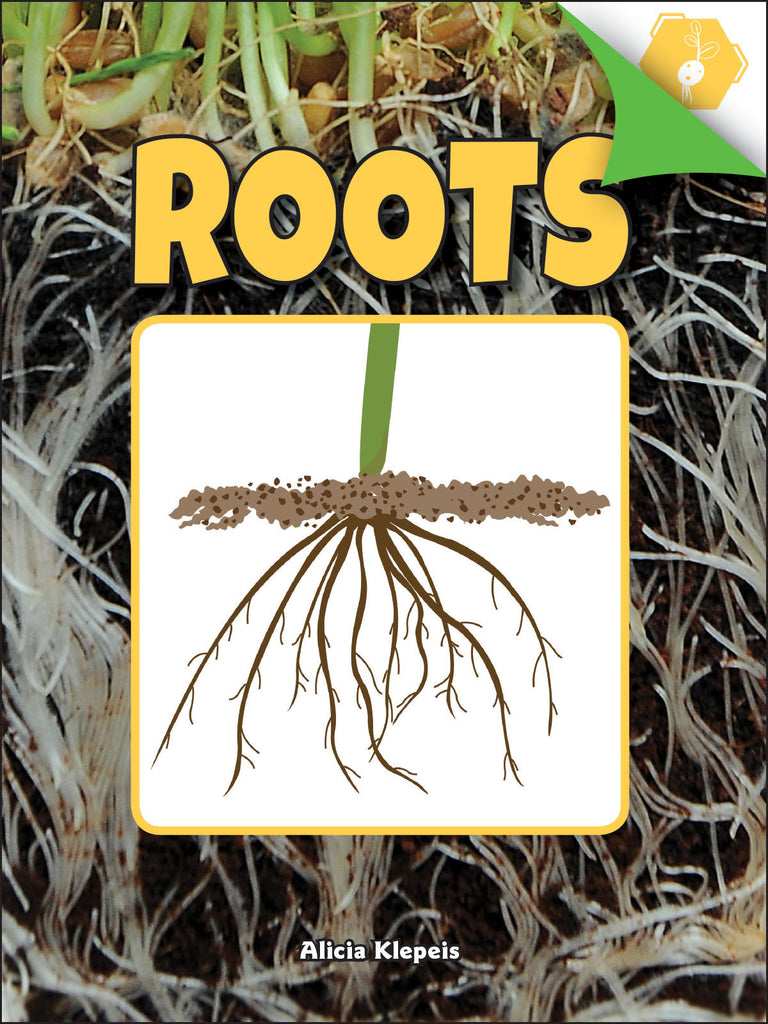 2018 - Roots (Paperback)