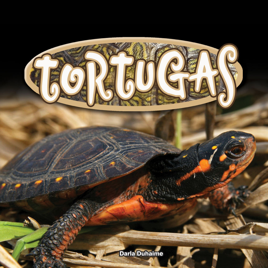 2018 - Tortugas (Turtles) (Paperback)
