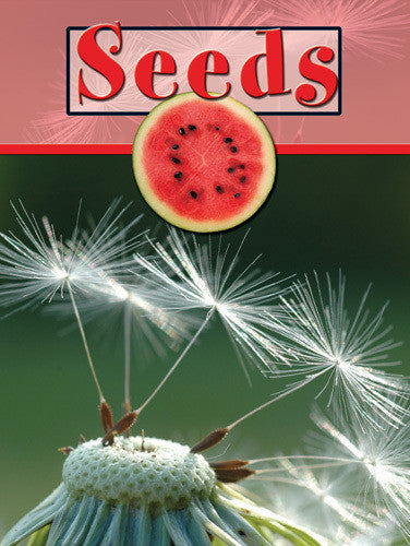 2008 - Seeds (eBook)
