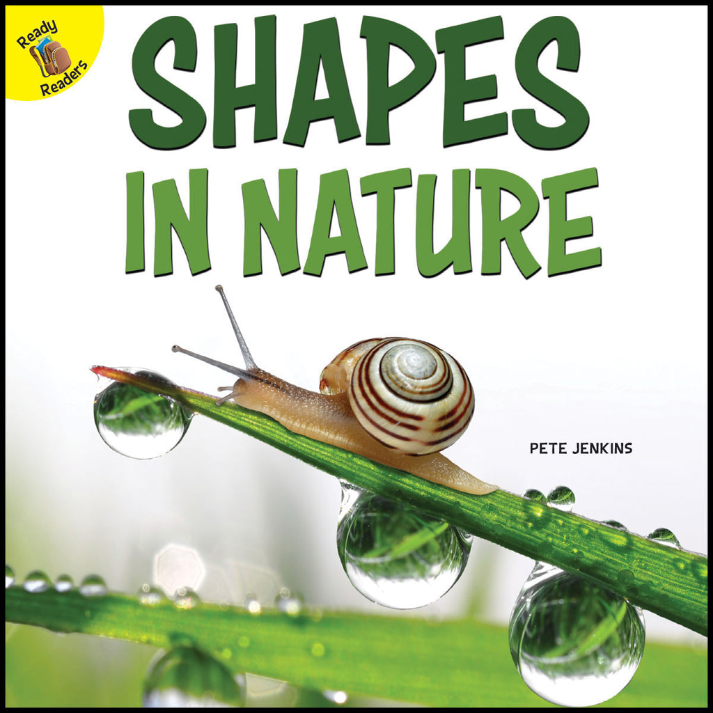 2019 - Shapes in Nature (Paperback)