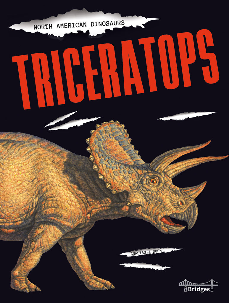 2020 - Triceratops (Hardback)