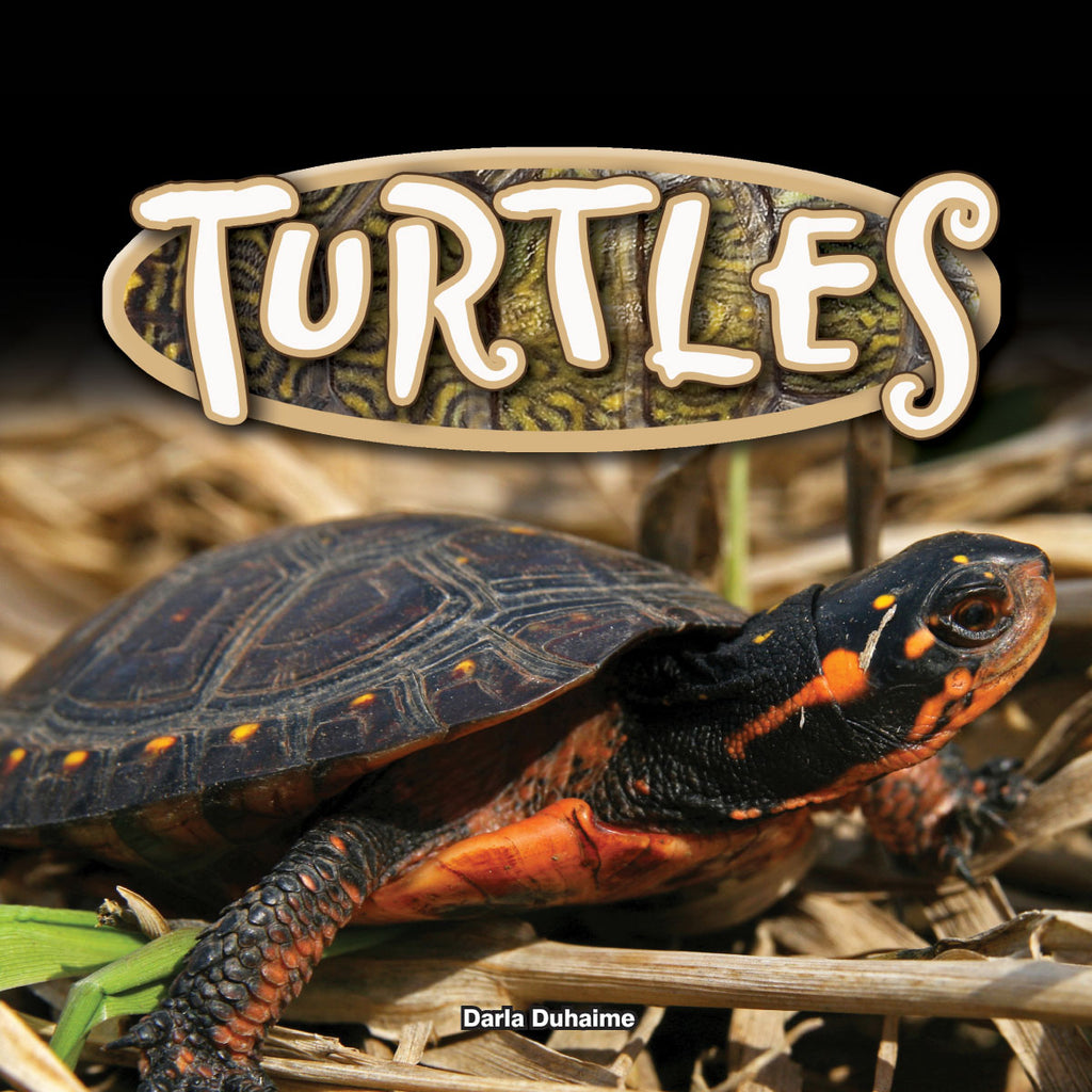 2017 - Turtles (eBook)