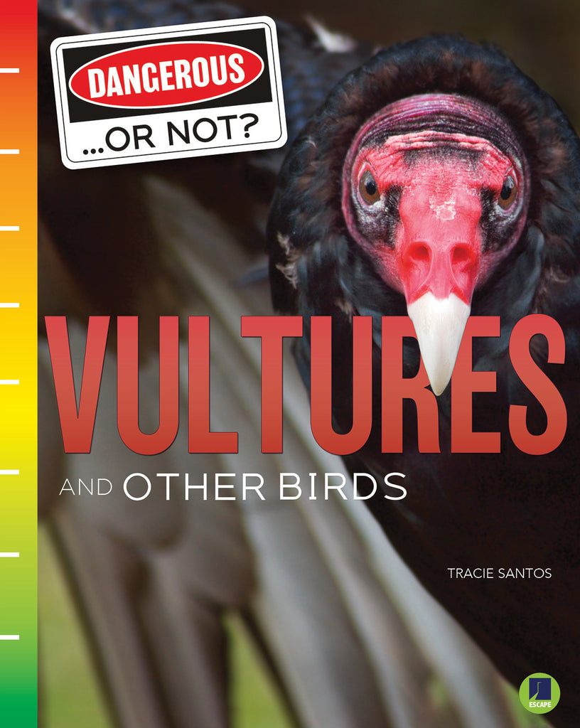 2021 - Vultures and Other Birds (eBook)