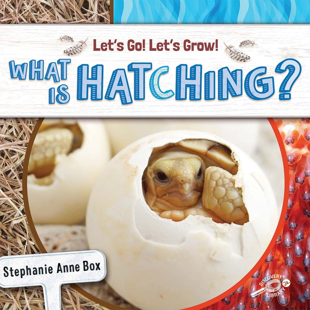 2022 - What Is Hatching? (Hardback)