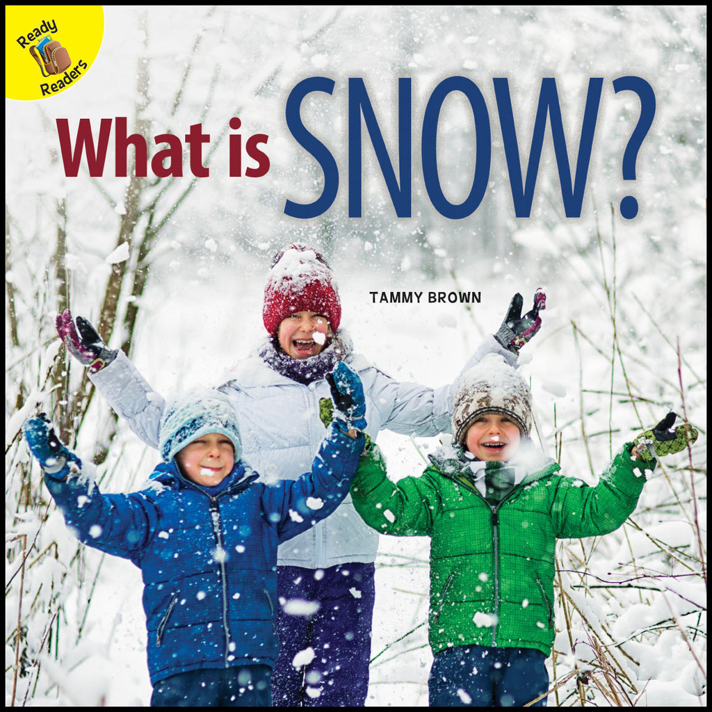 2019 - What is Snow? (eBook)